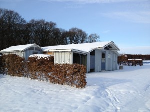IMG_1438